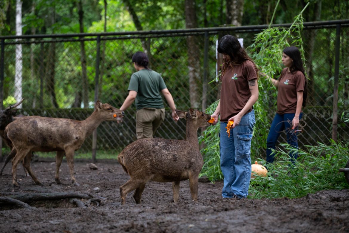 whatsapp image 2025 12 19 at 17.02.46