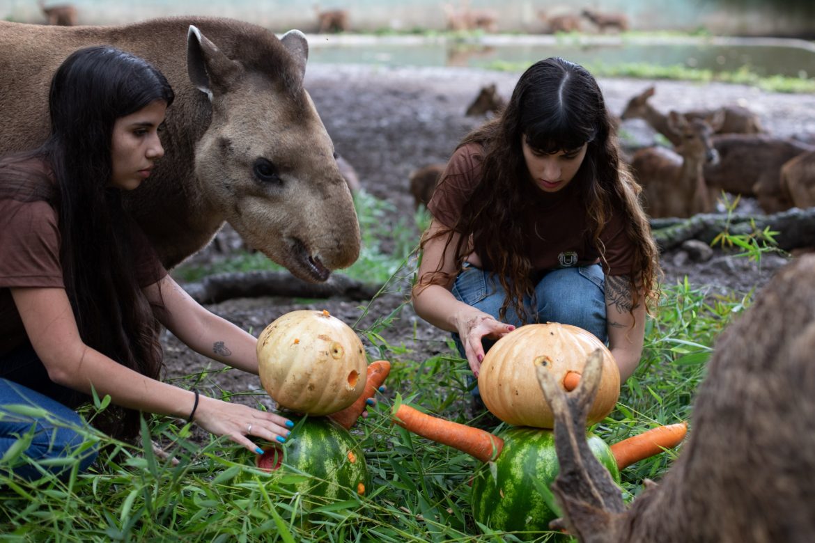 whatsapp image 2025 12 19 at 17.02.47