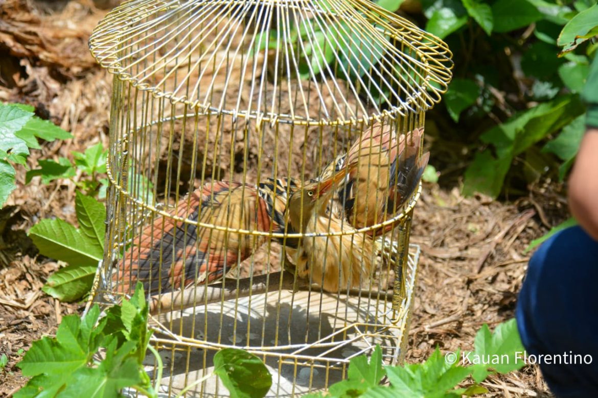 whatsapp image 2025 12 23 at 11.16.29