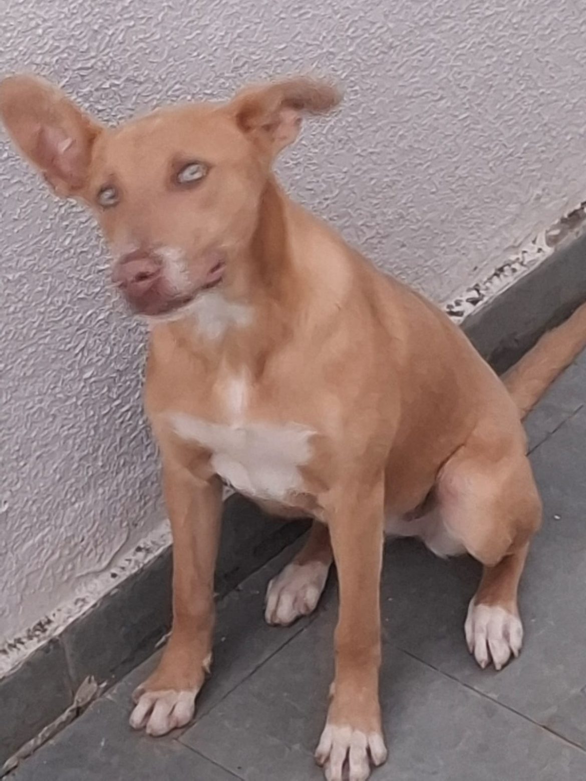 whatsapp image 2025 12 25 at 10.40.49