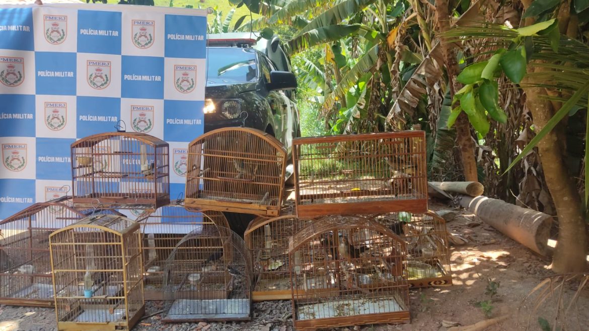 whatsapp image 2025 12 27 at 10.26.35