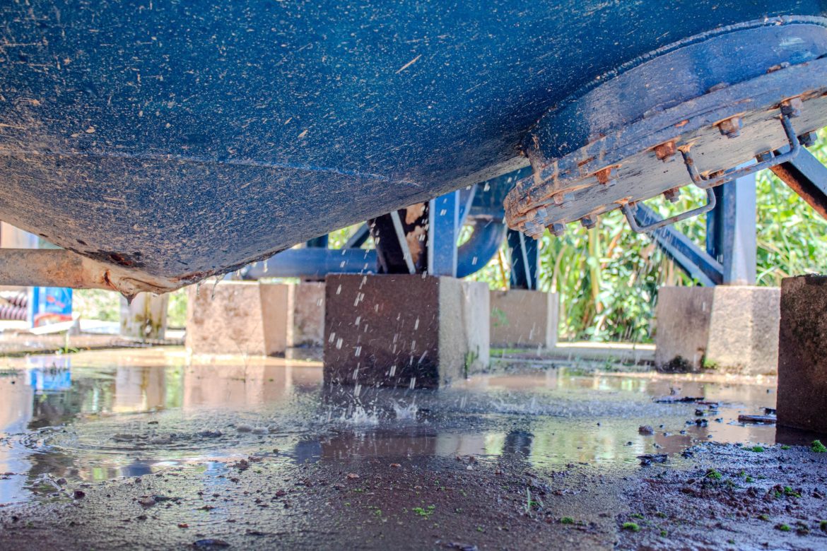 whatsapp image 2025 12 27 at 11.03.34 whatsapp image 2025 12 27 at 11.03.34