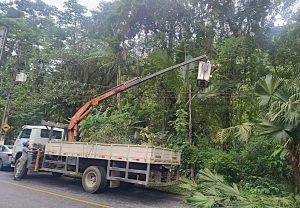 33.cf.res.cidades.ceres intensifica podas preventivas.1.equipes.redessociais (3)