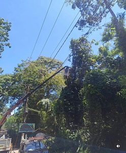 33.cf.res.cidades.ceres intensifica podas preventivas.2.manutenÇÃo.redessociais