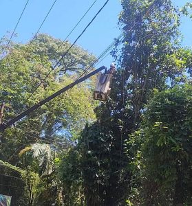 33.cf.res.cidades.ceres intensifica podas preventivas.2.manutenÇÃo.redessociais (3)