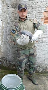 40.cf.res.cidades.grupamento especial de meio.1.tatu.divulgaÇÃogema (2)