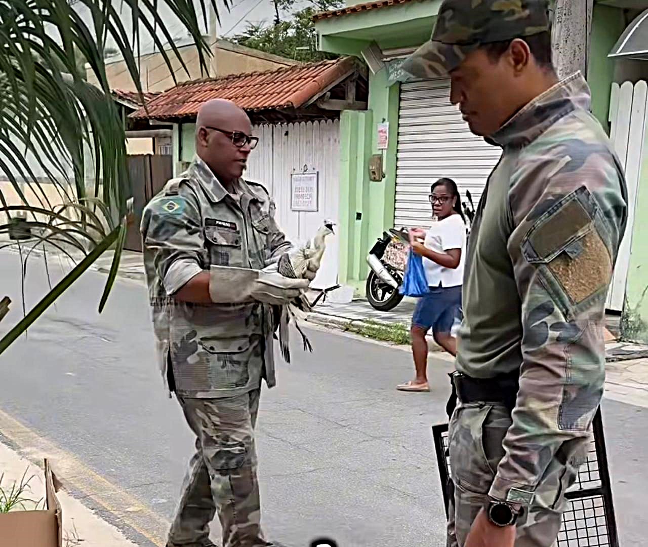 40.cf.res.cidades.grupamento especial de meio.2.ave.divulgaÇÃogema (4)