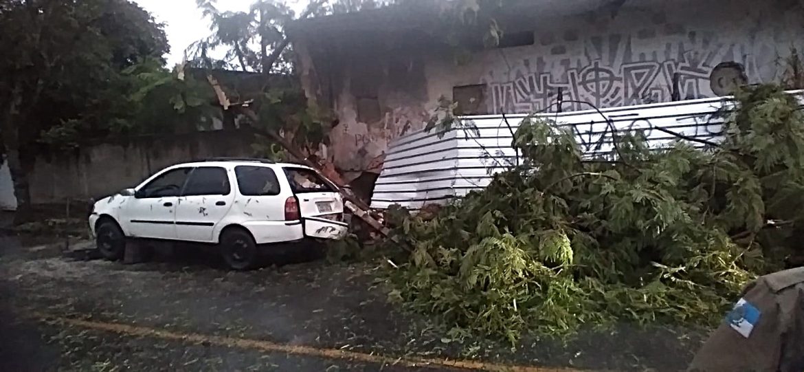 41.cf.res.cidades.temporal provoca quedas de árvores.3.chuva.divulgaÇÃodefesacivil