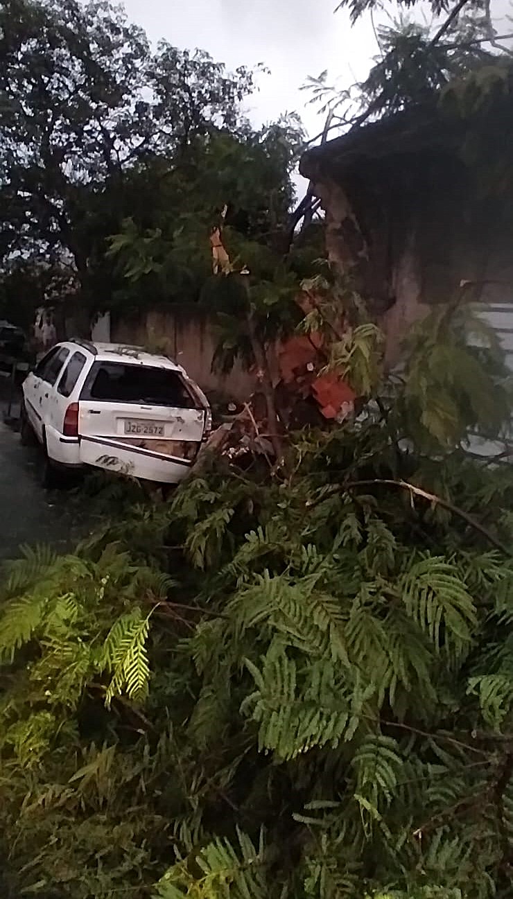41.cf.res.cidades.temporal provoca quedas de árvores.3.chuva.divulgaÇÃodefesacivil (4)