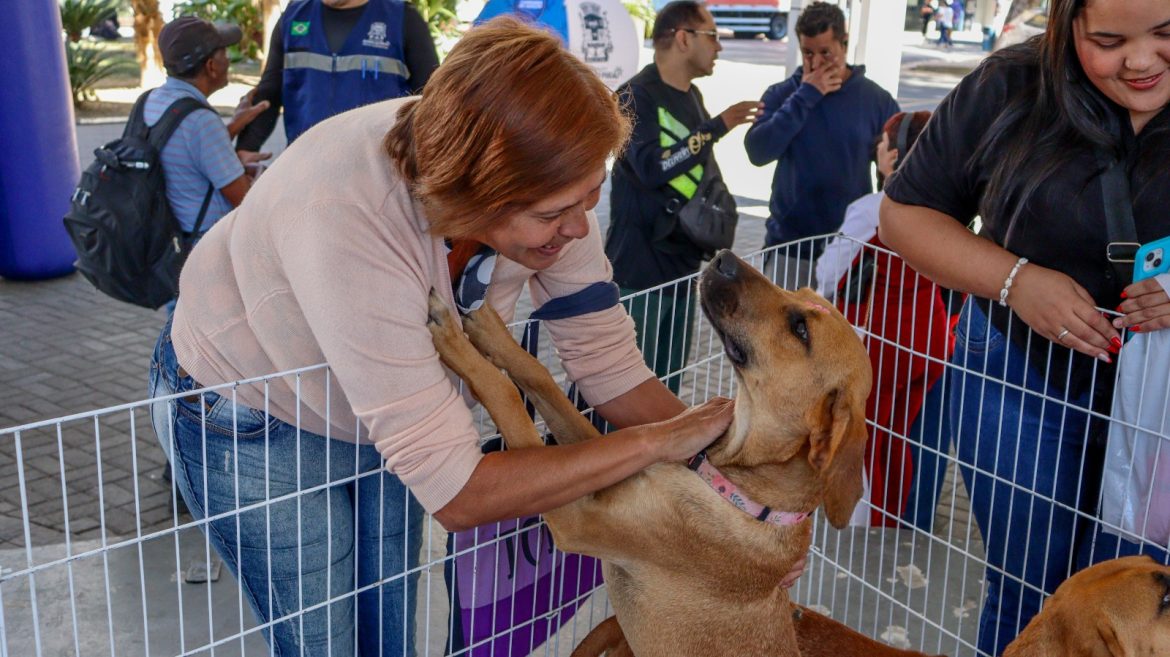 57.cf.res.cidades.bem estar animal de barra.1.secretaria.divulgaÇÃopmbp