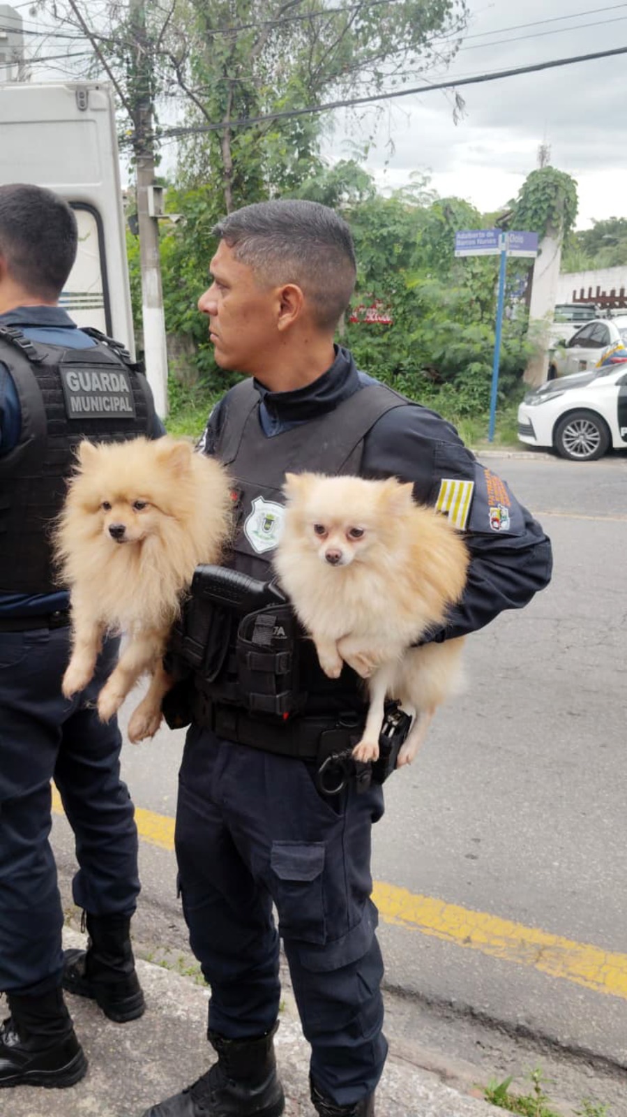 ação policial fecha canil clandestino, resgata cães e detém proprietária em volta redonda divulgaÇÃo smpda1 ação policial fecha canil clandestino, resgata cães e detém proprietária em volta redonda divulgaÇÃo smpda1