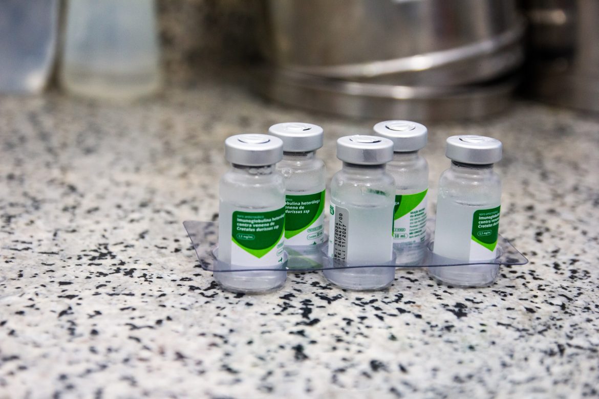 divulgaçãopmbpjoão vitor dias (1)