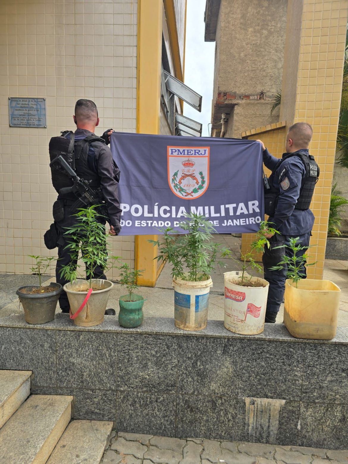 pm descobre cultivo de maconha em residência no jardim primavera, em três rios divulgação