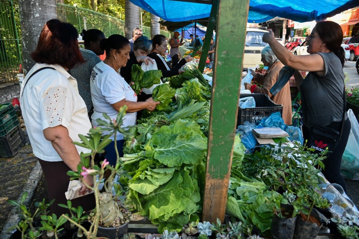 whatsapp image 2026 01 07 at 11.49.30 (1)