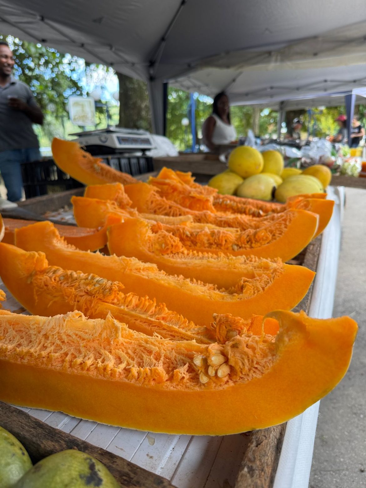 whatsapp image 2026 01 07 at 15.05.36 (1)