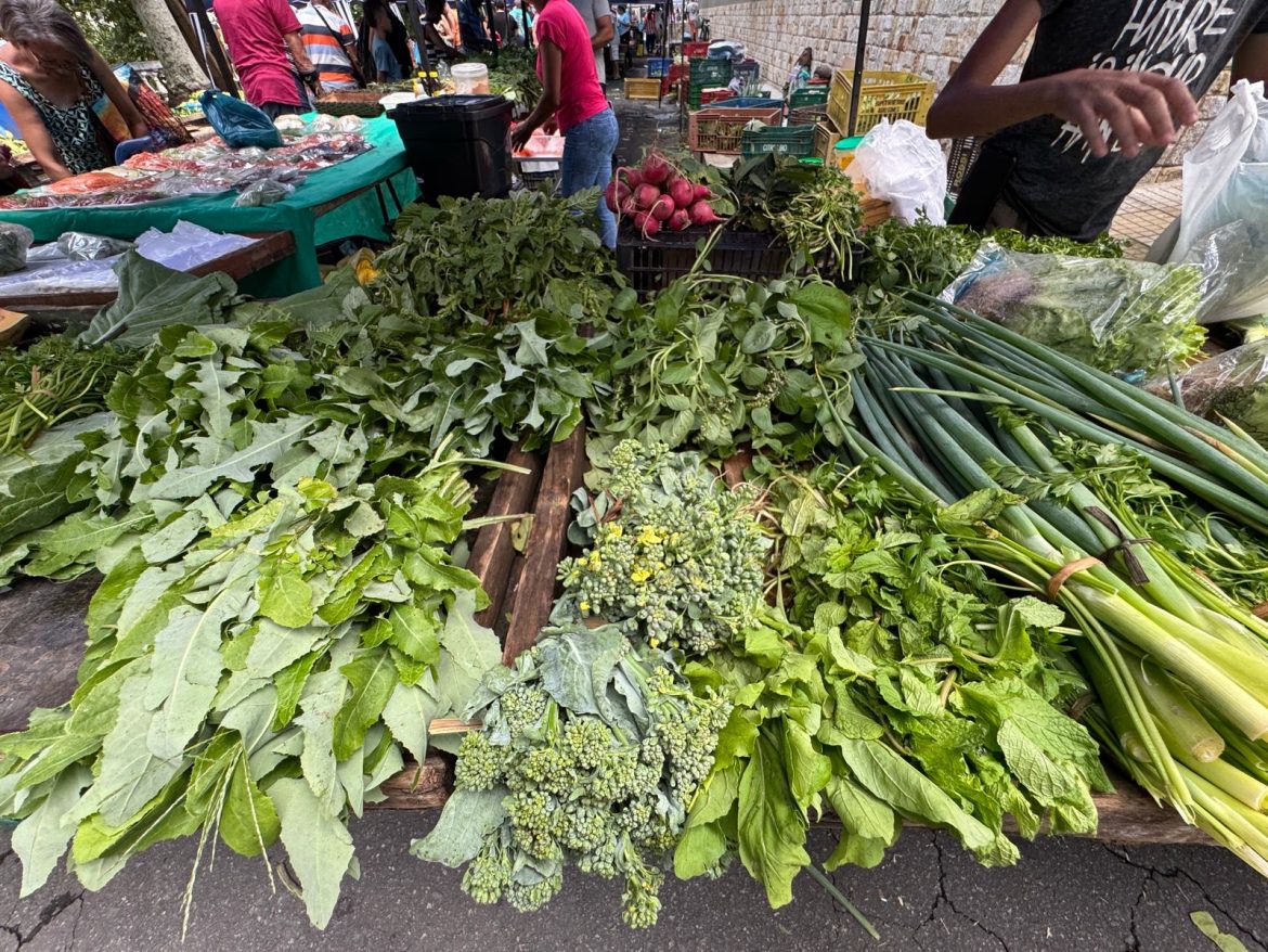 whatsapp image 2026 01 07 at 15.05.37 (1)