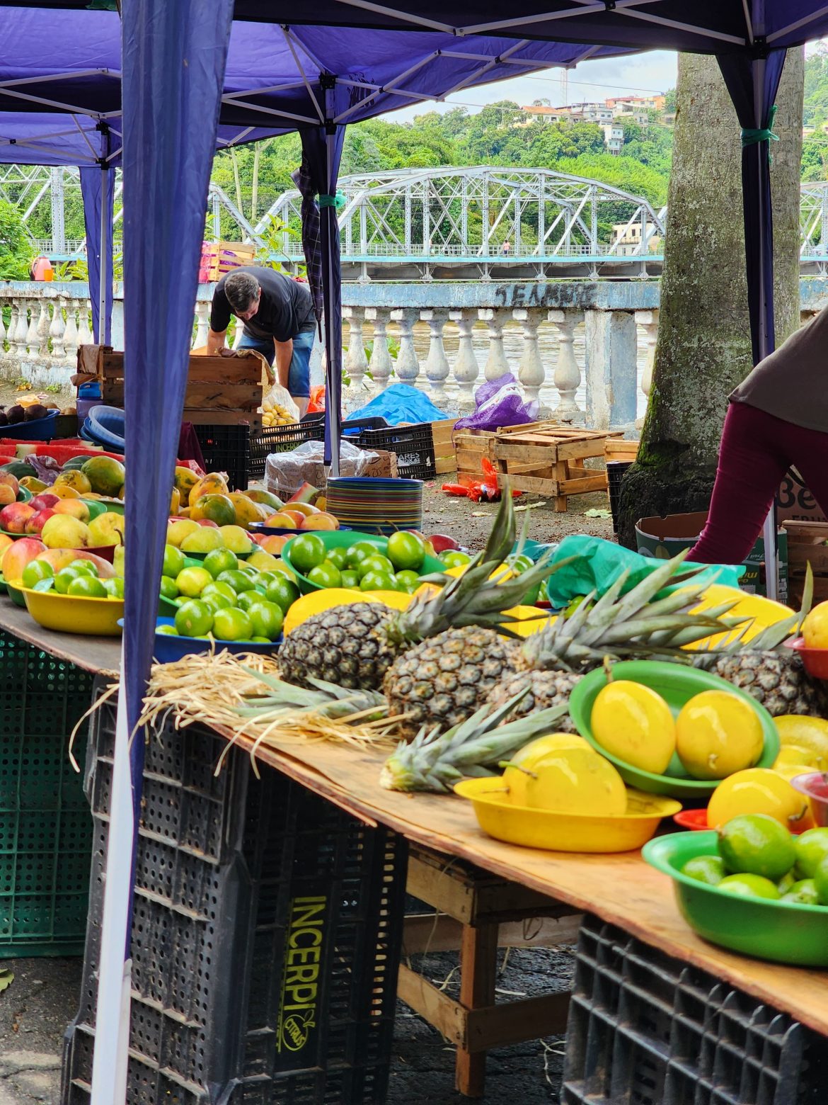 whatsapp image 2026 01 07 at 15.05.38