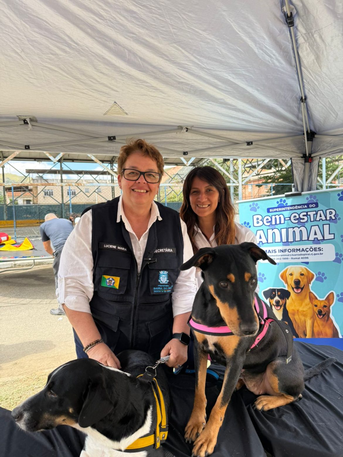 whatsapp image 2026 01 14 at 14.11.44