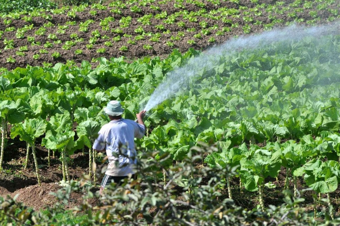 whatsapp image 2026 01 14 at 15.25.33