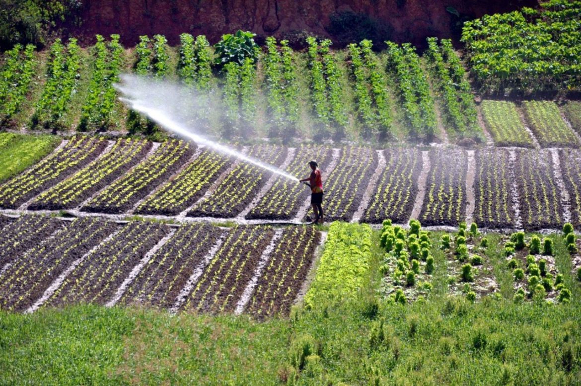 whatsapp image 2026 01 14 at 15.25.34 (1)