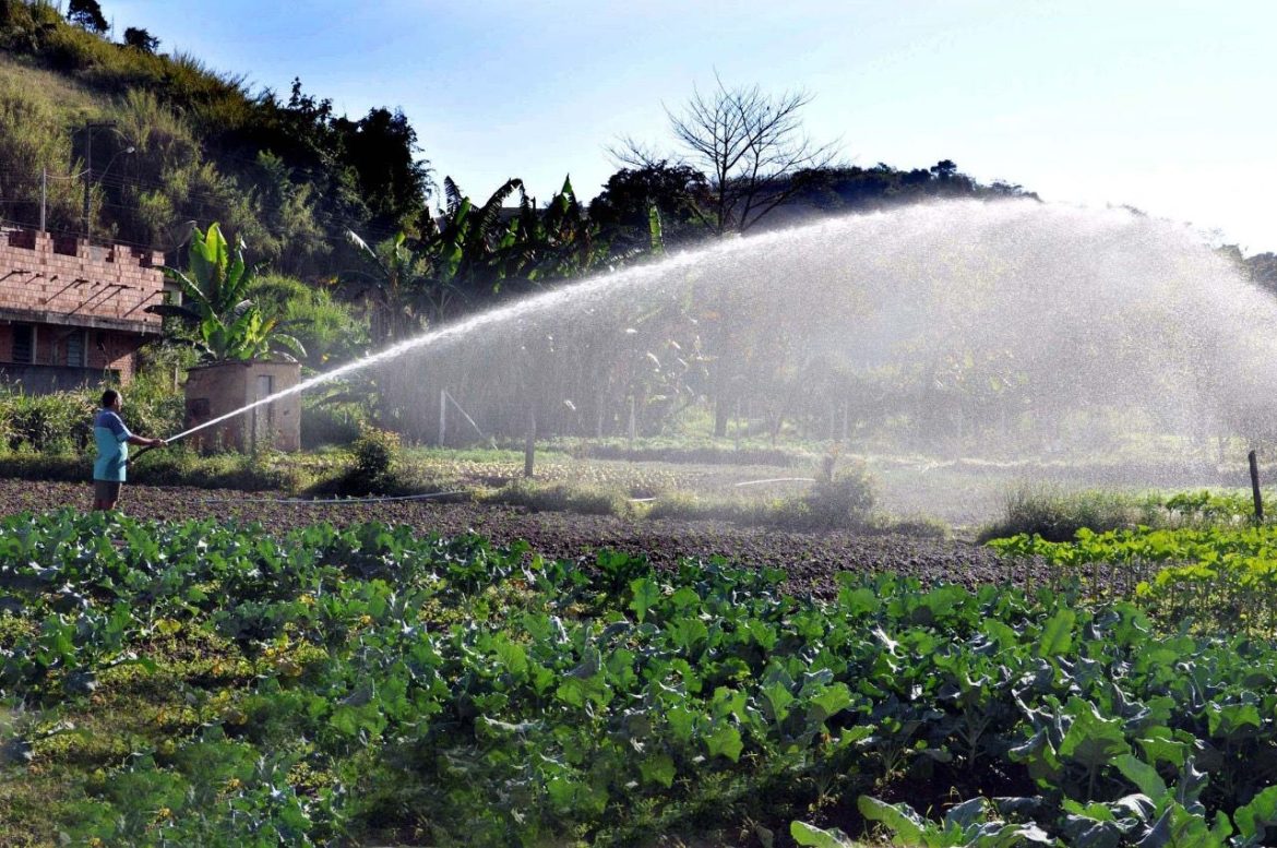 whatsapp image 2026 01 14 at 15.25.35 (1)