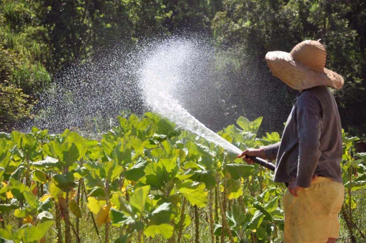 whatsapp image 2026 01 14 at 15.25.35