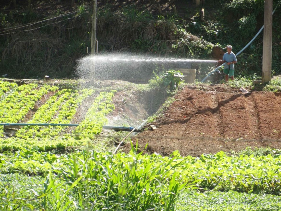 whatsapp image 2026 01 14 at 15.25.35 (2)