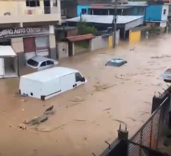 whatsapp image 2026 01 14 at 16.42.04