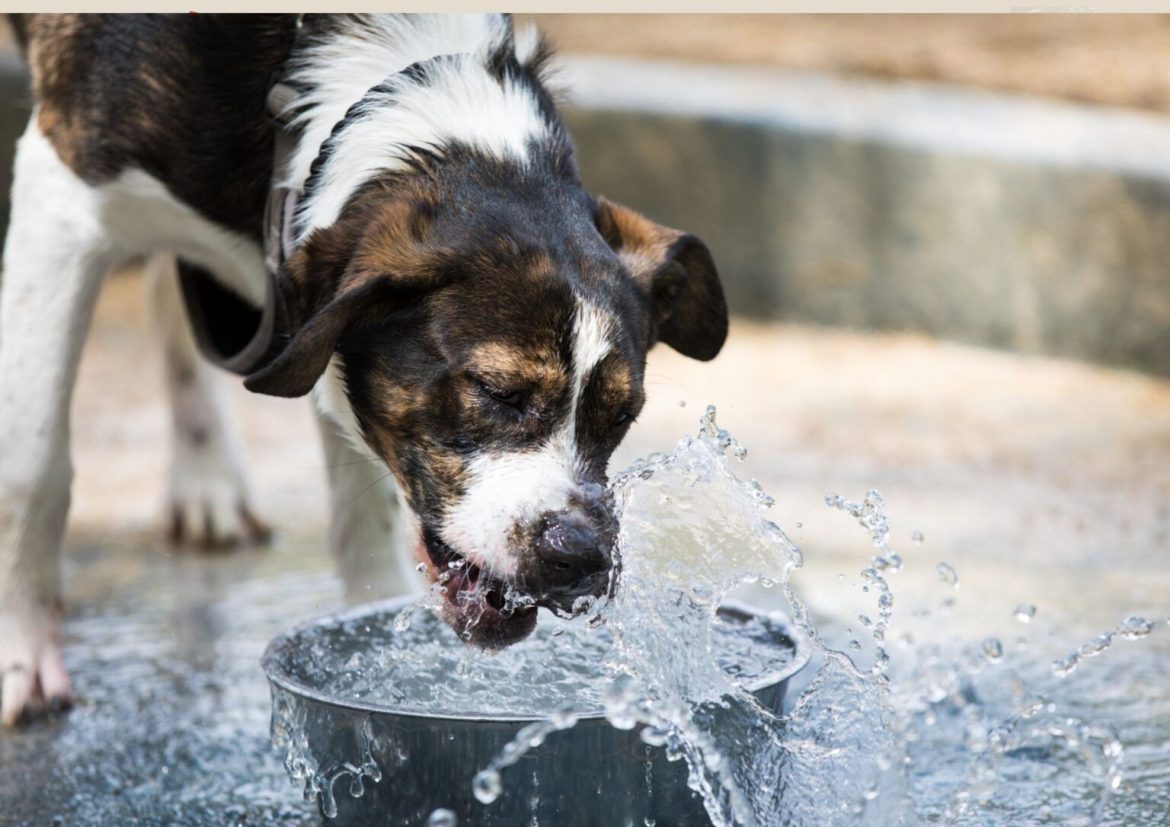 whatsapp image 2026 01 21 at 12.05.05