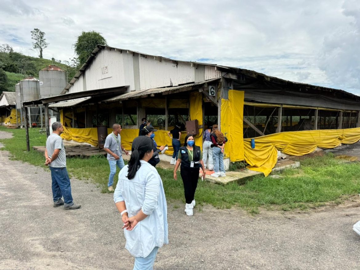 whatsapp image 2026 01 27 at 11.42.24