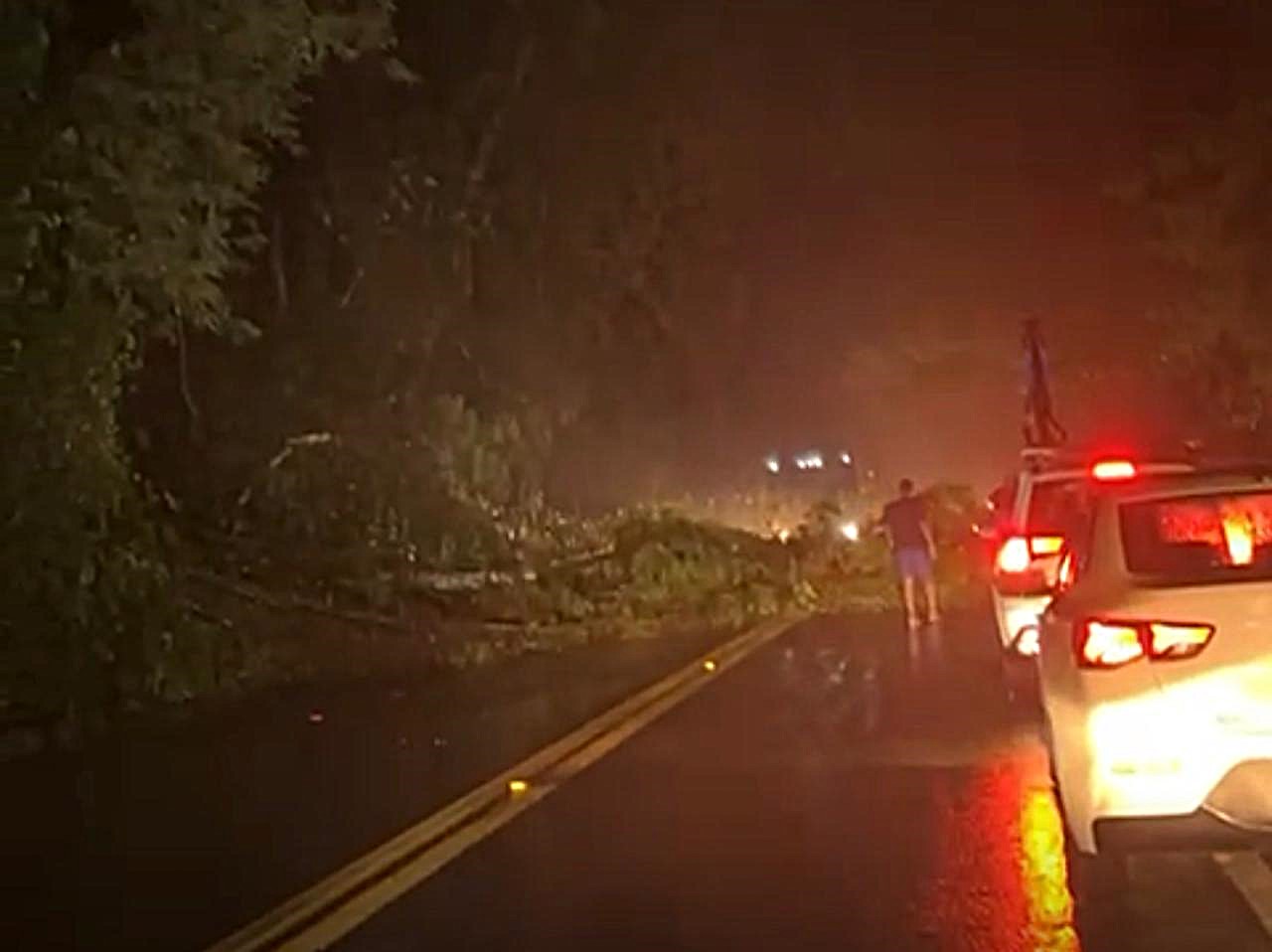 21.cf.res.cidades.angra dos reis mantém estado.2.Árvores.redessociais