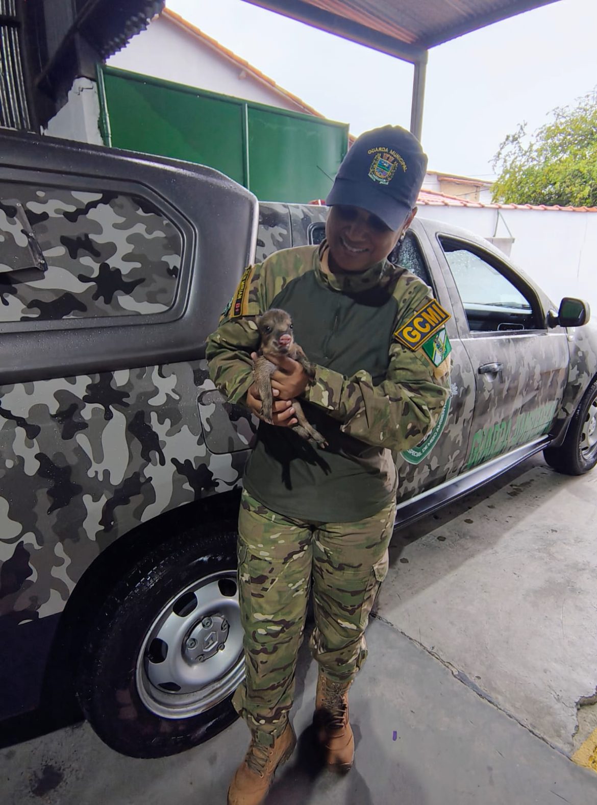 25.cf.res.cidades.grupamento ambiental de itatiaia resgata.1.filhote.redessociais