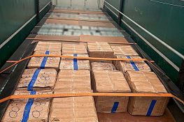 28.cf.res.polÍcia.mais de 600 quilos de maconha.1.droga.divulgaÇÃo