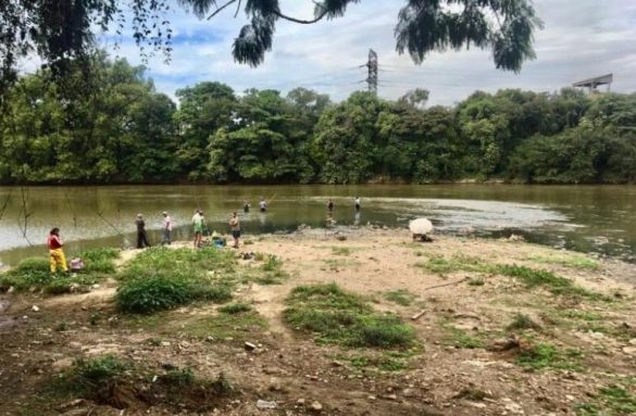 40 cidades médica infectologista e pediatra alerta para riscos graves da esquistossomose divulgaÇÃo