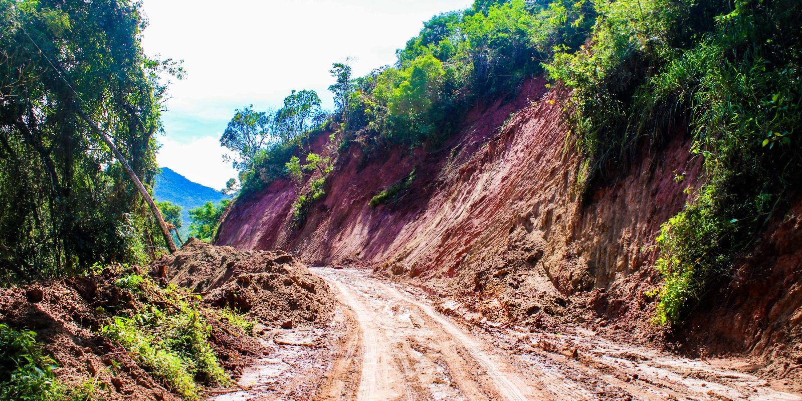 58.cf.res.cidades.moradores criam associação.redessociais