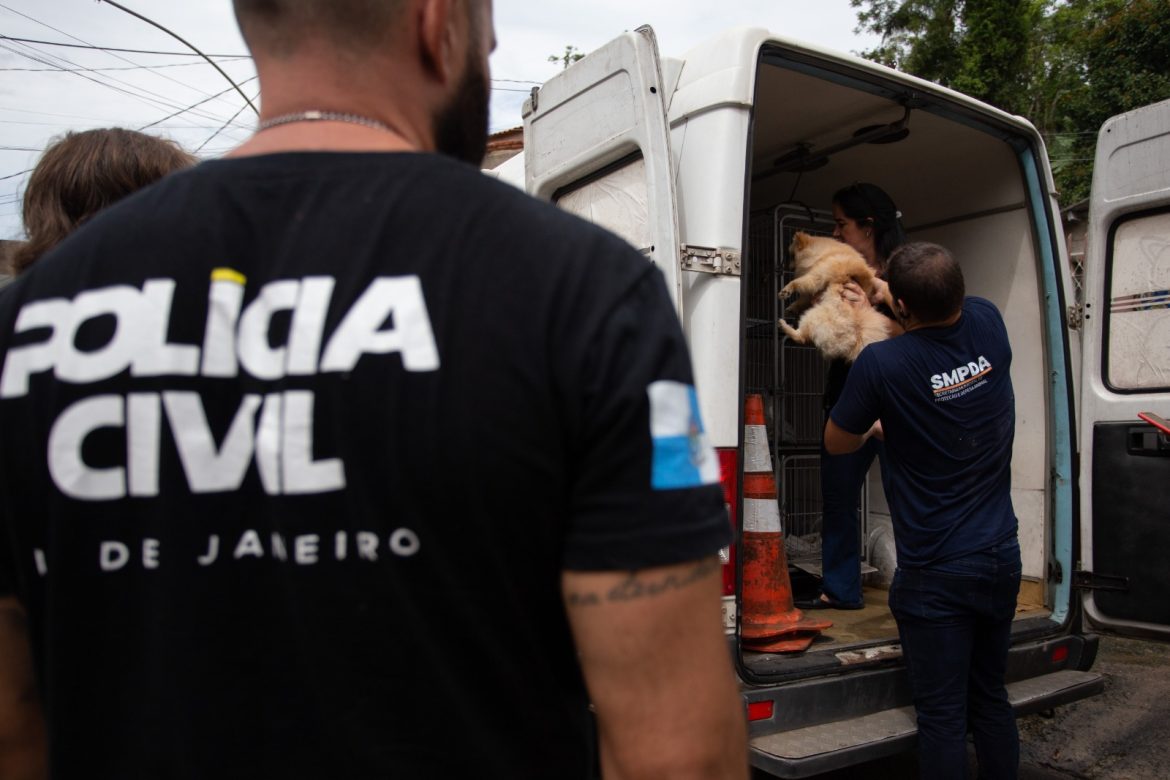 smpda e forças de segurança desmantelam venda ilegal de animais no siderópolis, em volta redonda cris oliveira secom 1
