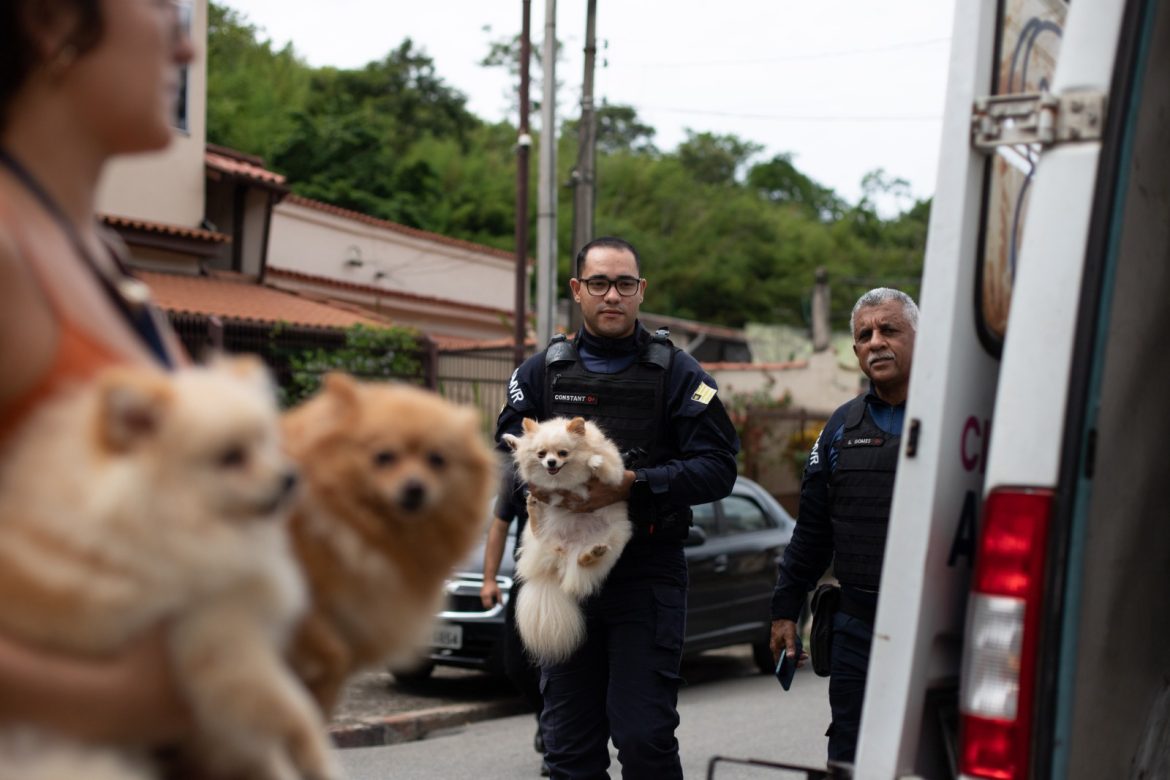 smpda e forças de segurança desmantelam venda ilegal de animais no siderópolis, em volta redonda cris oliveira secom