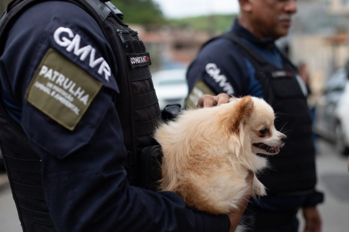 smpda e forças de segurança desmantelam venda ilegal de animais no siderópolis, em volta redonda cris oliveira secom1111