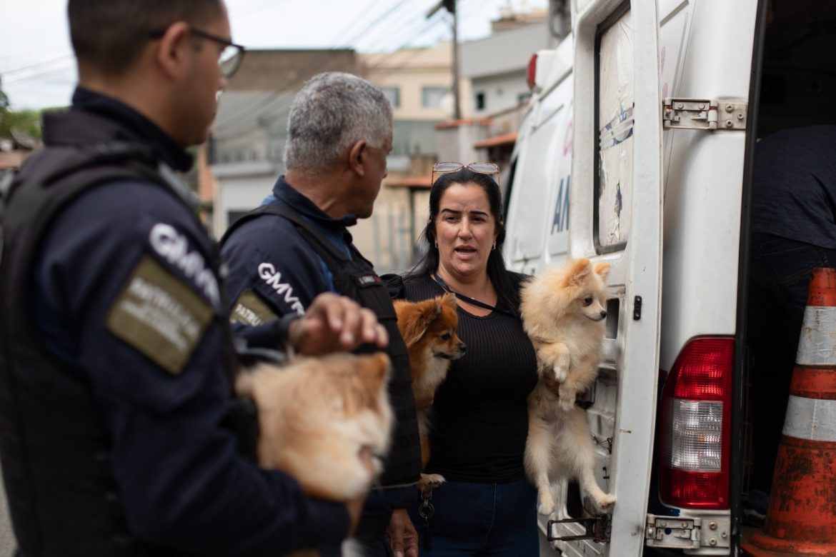 smpda e forças de segurança desmantelam venda ilegal de animais no siderópolis, em volta redonda cris oliveira secom11111
