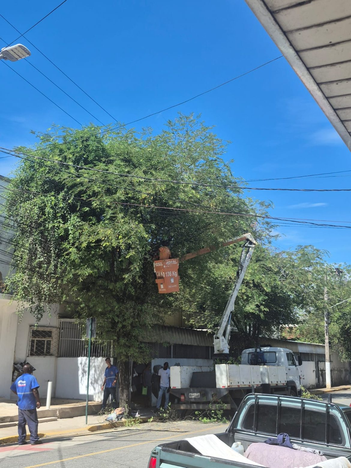 whatsapp image 2026 02 04 at 09.04.26