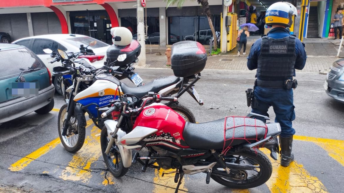 whatsapp image 2026 02 12 at 11.01.30