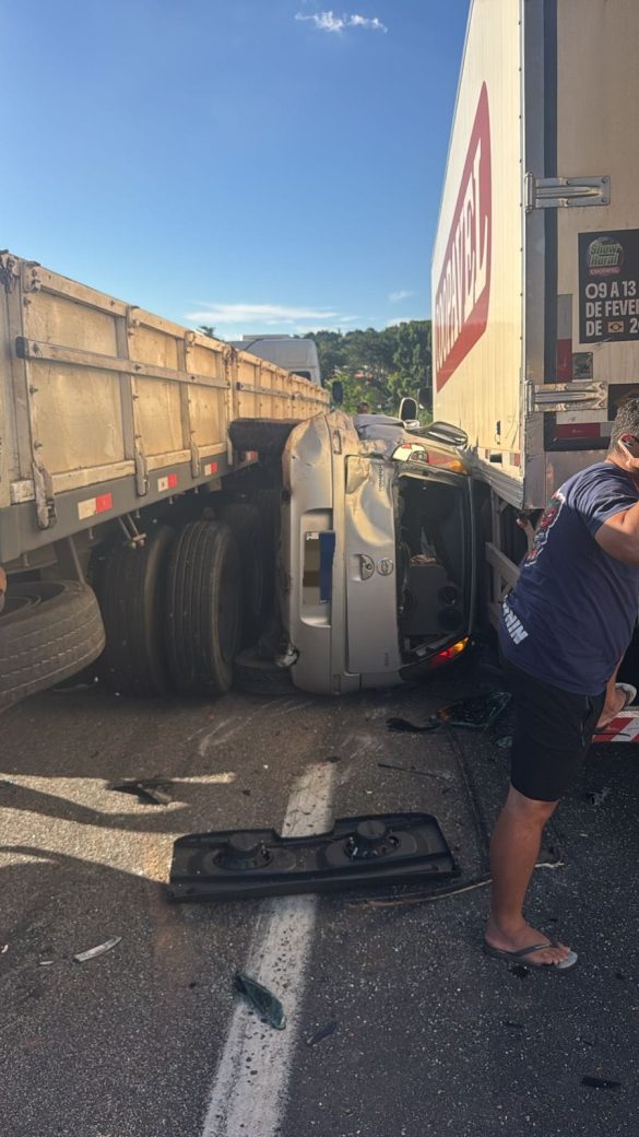 whatsapp image 2026 02 13 at 19.03.19