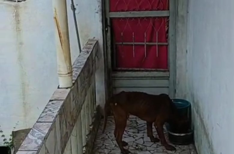 whatsapp image 2026 02 20 at 11.16.17