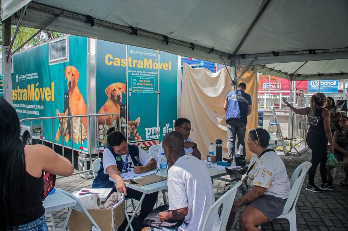 whatsapp image 2026 02 23 at 15.19.17