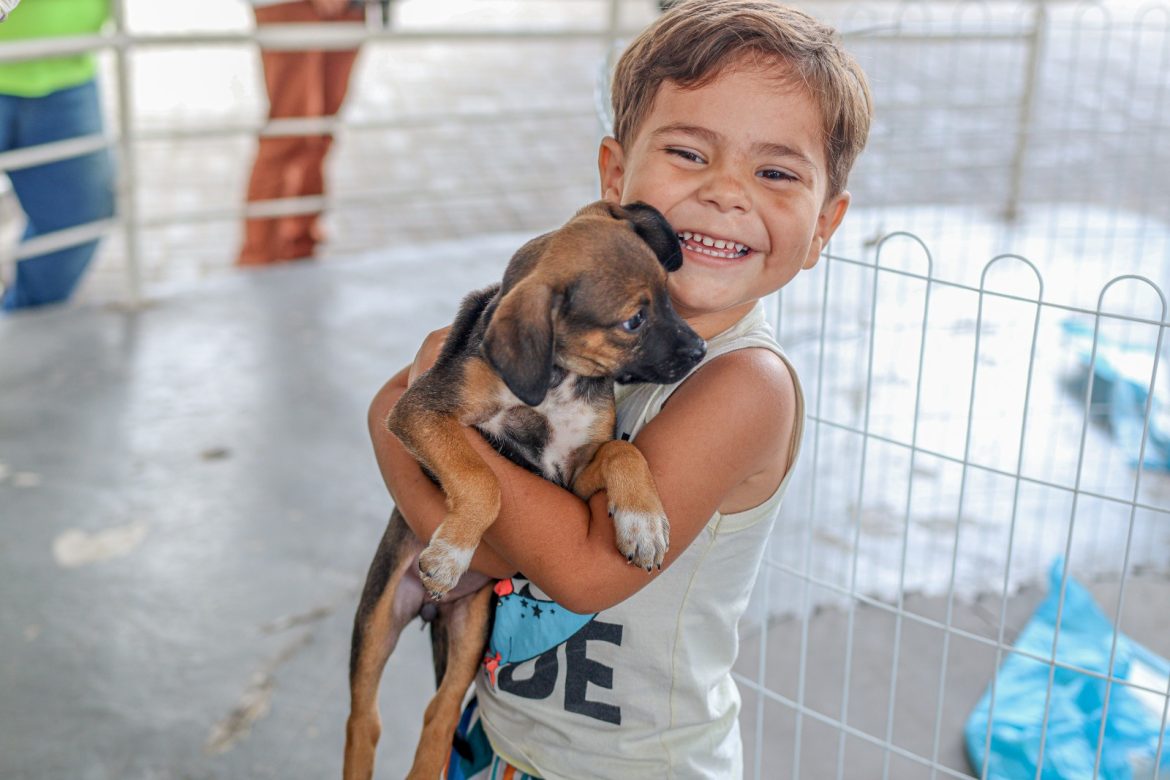 whatsapp image 2026 02 23 at 15.55.23