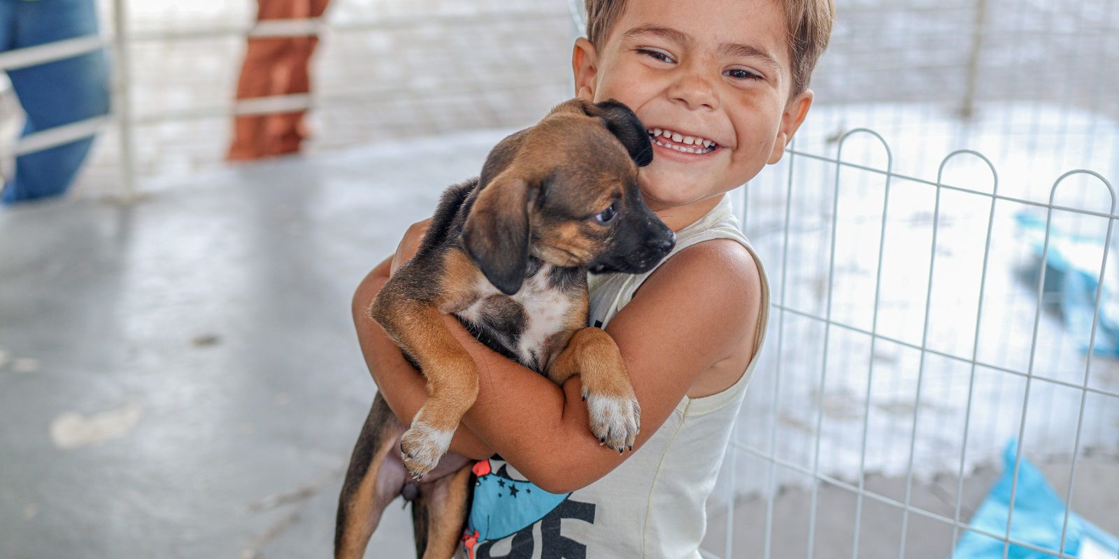 whatsapp image 2026 02 23 at 15.55.23