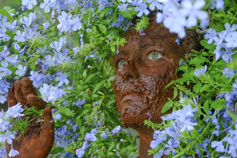 36.cf.res.cidades.artista de resende participa do salão.2.obras..divulgaÇÃo