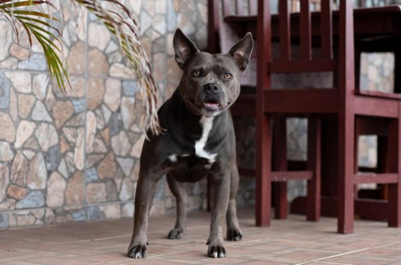 divulgaçãopmvrcris oliveira  (1)