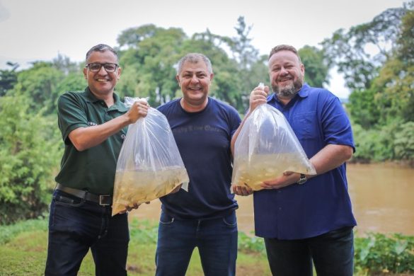 prefeitura e csn promovem soltura de peixes no rio paraíba do sul em volta redonda adruiana cópio secom111