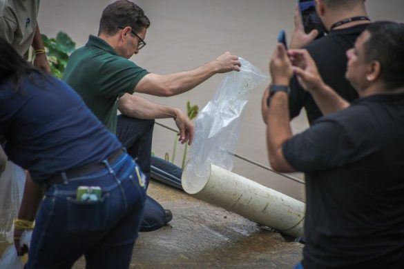 prefeitura e csn promovem soltura de peixes no rio paraíba do sul em volta redonda adruiana cópio secom12